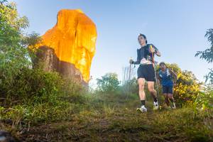 BIB: 
                            <button type="button" onclick="openModal(19302462)" class="btn btn-primary btn-sm float-right btn-popup" data-toggle="modal" data-target=".modal-high-quality">
                        <i class="fas fa-shopping-cart"></i> Add to Cart
                    </button>
                                            <button type="button" onclick="isThisMe(19302462, true)" class="btn btn-success btn-sm float-right btn-popup btn-isme hidden" data-toggle="tooltip" data-placement="bottom" title="นี่คือรูปของคุณใช่ไหม คลิกที่นี่เพื่อเอาเข้าอัลบั้ม">
                        <i class="fas fa-plus"></i> Add to album
                    </button>
                    <button type="button" onclick="isThisMe(19302462, false)" class="btn btn-warning btn-sm float-right btn-popup btn-isnotme hidden">
                        <i class="fas fa-ban"></i> Remove from album
                    </button>